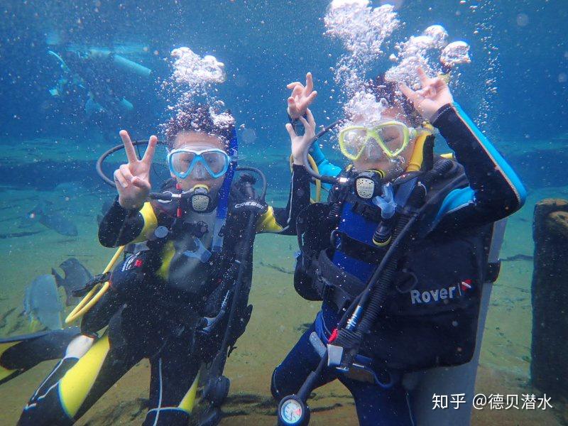 家长暑假带孩子们学习潜水