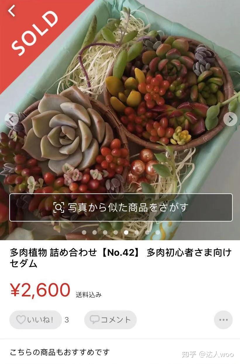 日本煤爐攻略持續更新中