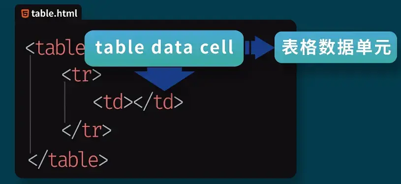 零基础教你学前端——19、基础表格结构 - 知乎