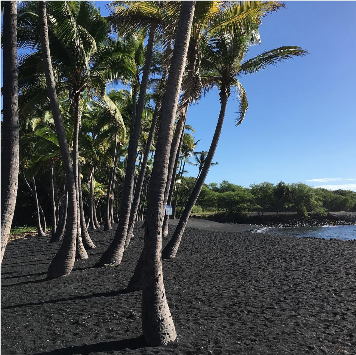 夏威夷毛伊岛的卡纳帕利海滩和度假酒店照片摄影图片_ID:149577819-Veer图库