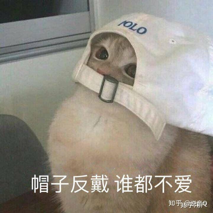 v2-8d5ef1db189154e4f3ffe379242b5c4e_r.jpg