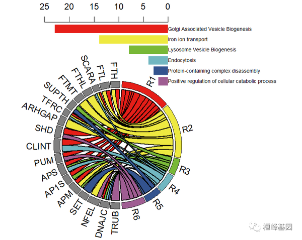 FigDraw 14. SCI 文章绘图之和弦图及文章复现(Chord Diagram) - 知乎