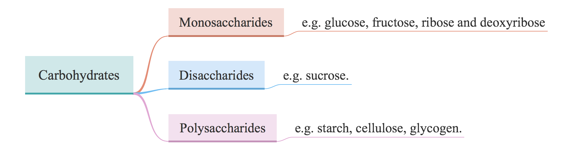 生物大分子-Carbohydrates and Lipids - 知乎