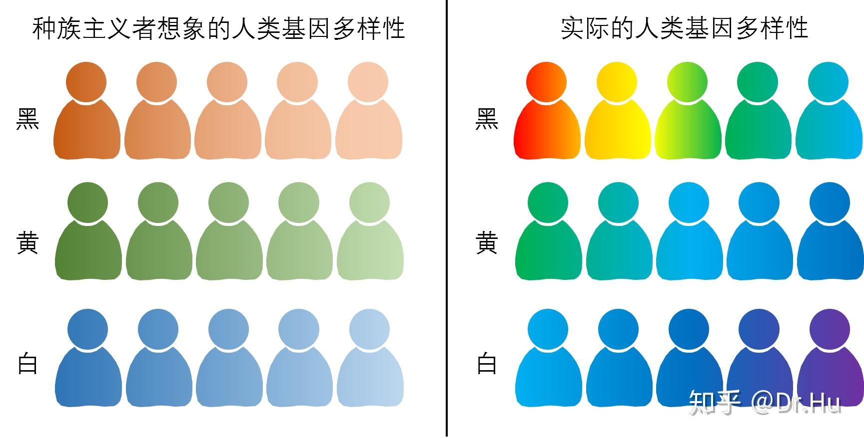 什么是基因多样性 v2-8d6d505b21bd1dfbc2acb090836a01ee_r.jpg