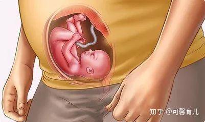 怀孕23周胎儿喜获这个发育成果你的宝宝胎动了吗
