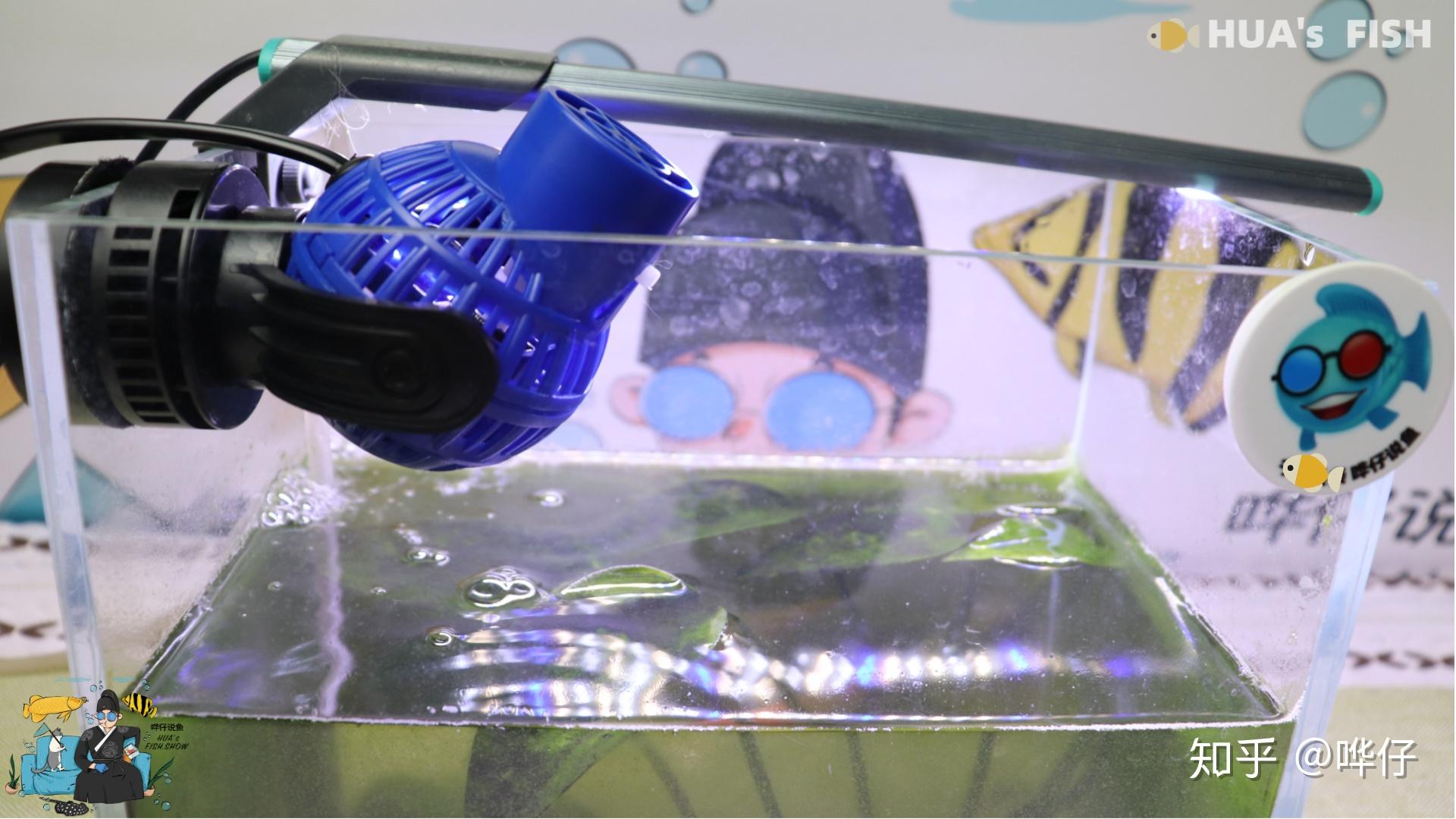 鱼缸增氧泵的使用方法及注意事项_氧气