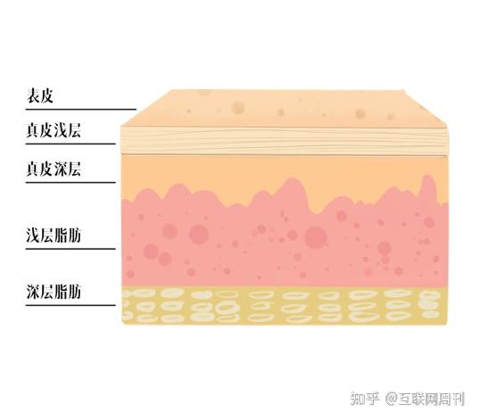 激光抗衰风向标——赛诺秀5D 胶原光 - 知乎