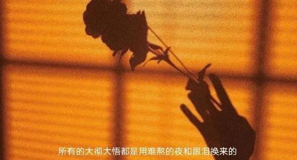 遗憾的文案短句带图片(配图｜深情遗憾的文案)