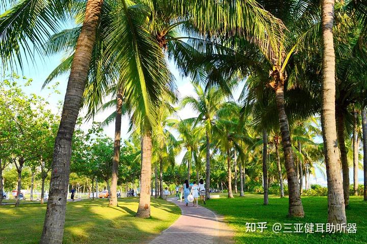 全国过冬哪家强？三亚，冬日里的温暖天堂🌞 - 知乎