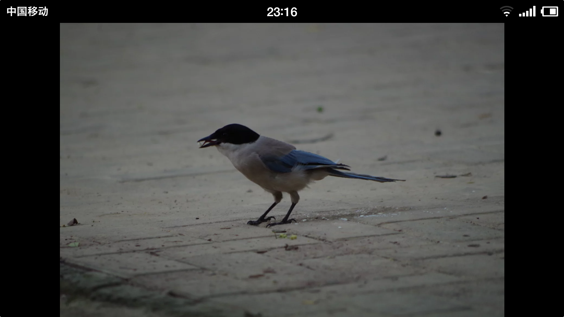 请问宾得k3该配什么镜头拍星空?还是说一定要