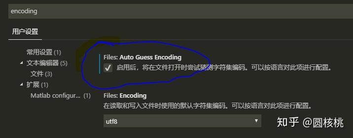 VScode怎样随打开的文件格式而改变编码方式 VScode怎样随打开的文件格式而改变编码方式