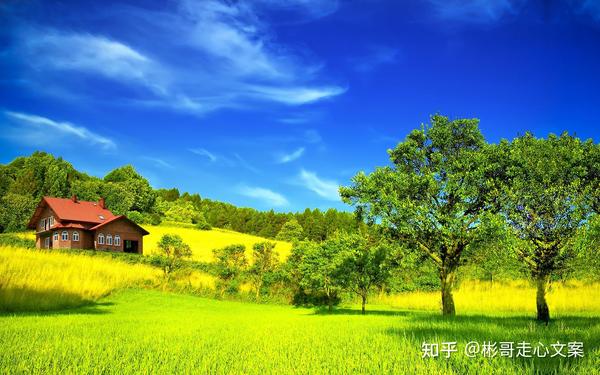 男人成熟大气的说说(男人成熟大气有格局的文案)