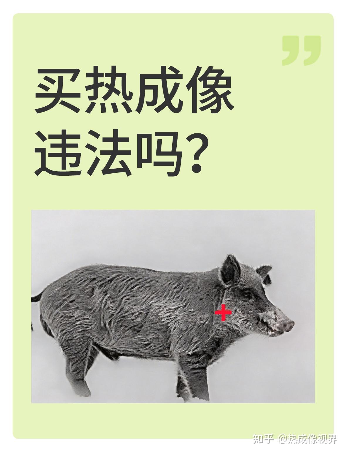 热成像普通人能不能买?买热成像会被抓吗?