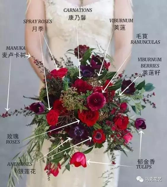 如何用普通花材搭配出有高级感的花束 知乎 如何用普通花材搭配出有高级感的花束 知乎