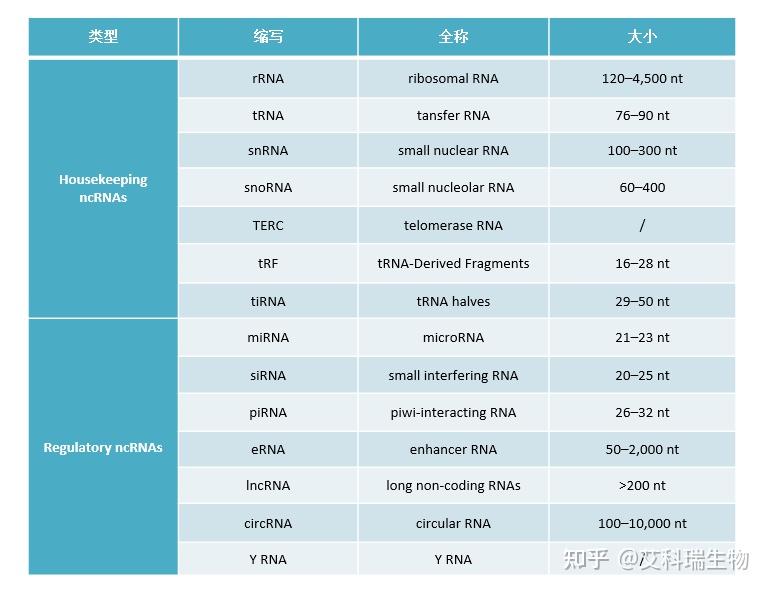 快来捋一捋非编码RNA吧！ - 知乎