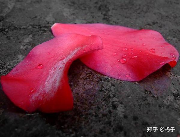 “有无缘分,一看便知”:无缘的人,往往有四大表现,别傻傻不懂 - 知乎