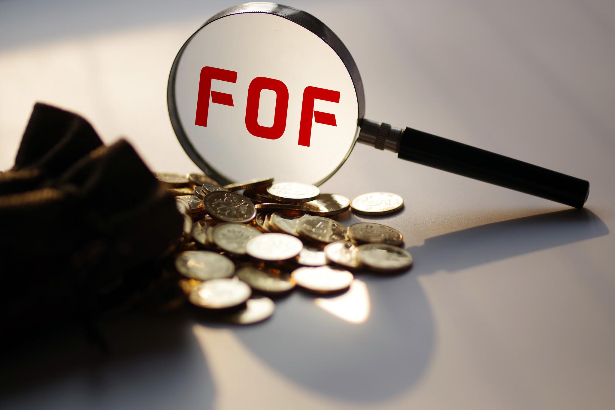 点掌财经靠谱技巧:fof基金的有哪些优势和风险?