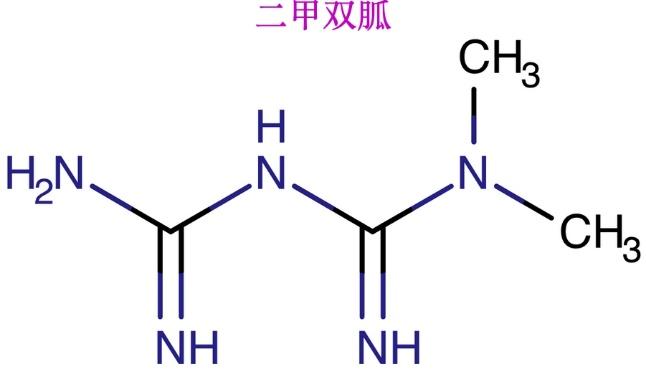 二甲双胍用于减肥 zhuanlan.zhihu.com