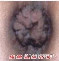 v2-8e08e6bffe0ec321833a3a55397d6336_b.jpg