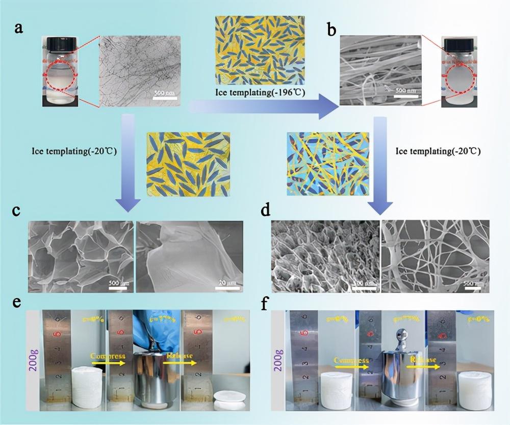 afmubc双冰模板组装超弹性纤维素纳米纤维气凝胶