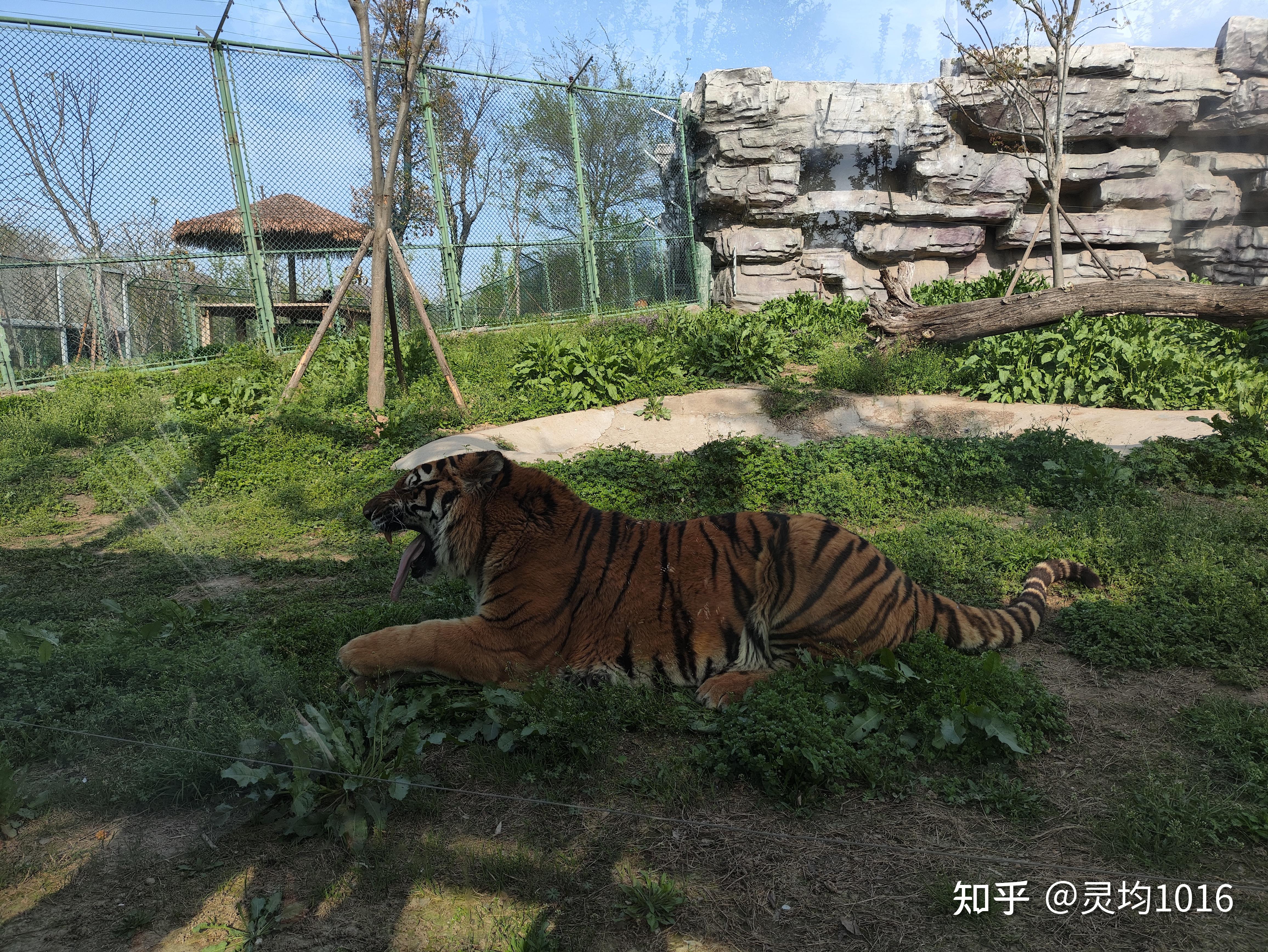 周口野生动物园票价图片