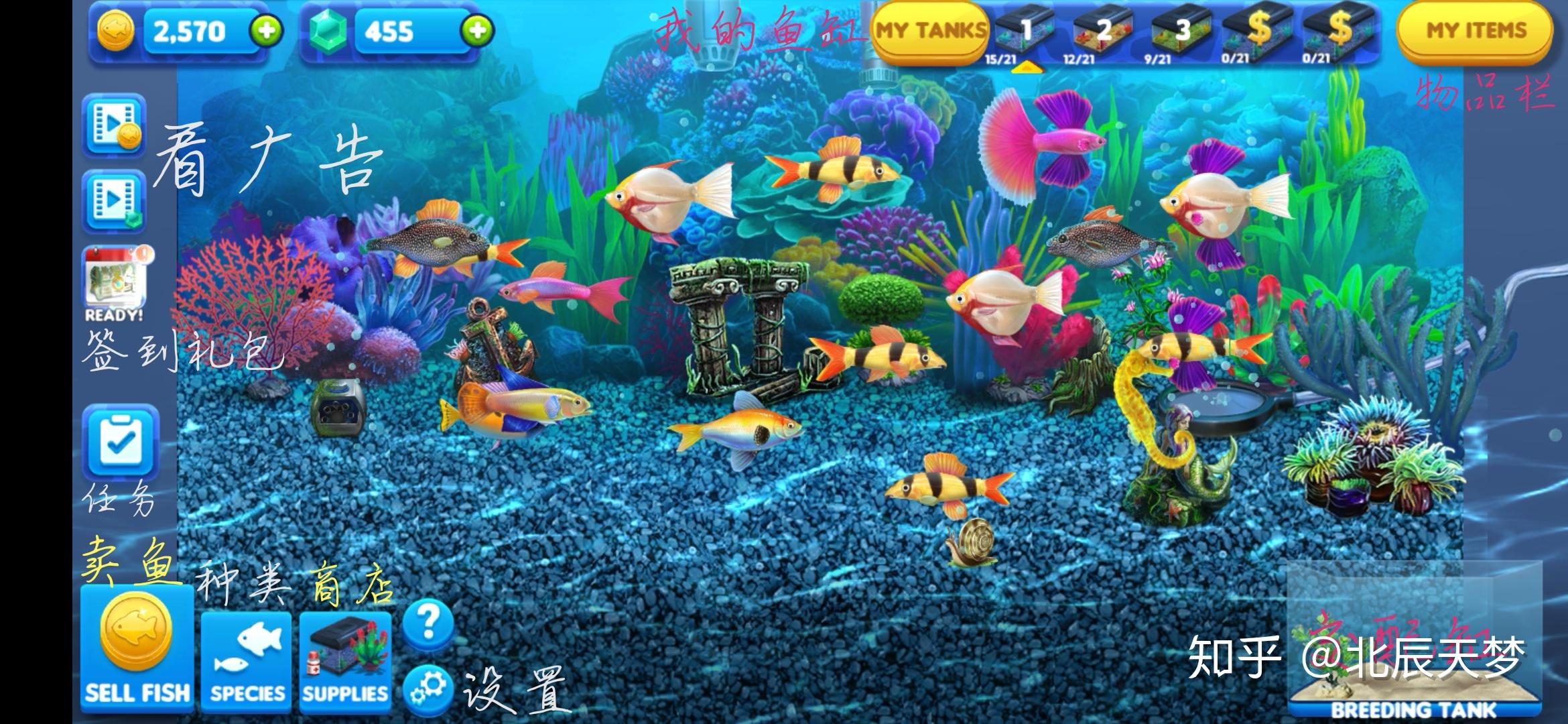 养鱼场3游戏下载-养鱼场3Fish Farm 3下载v1.18.7180安卓版-乐游网安卓下载