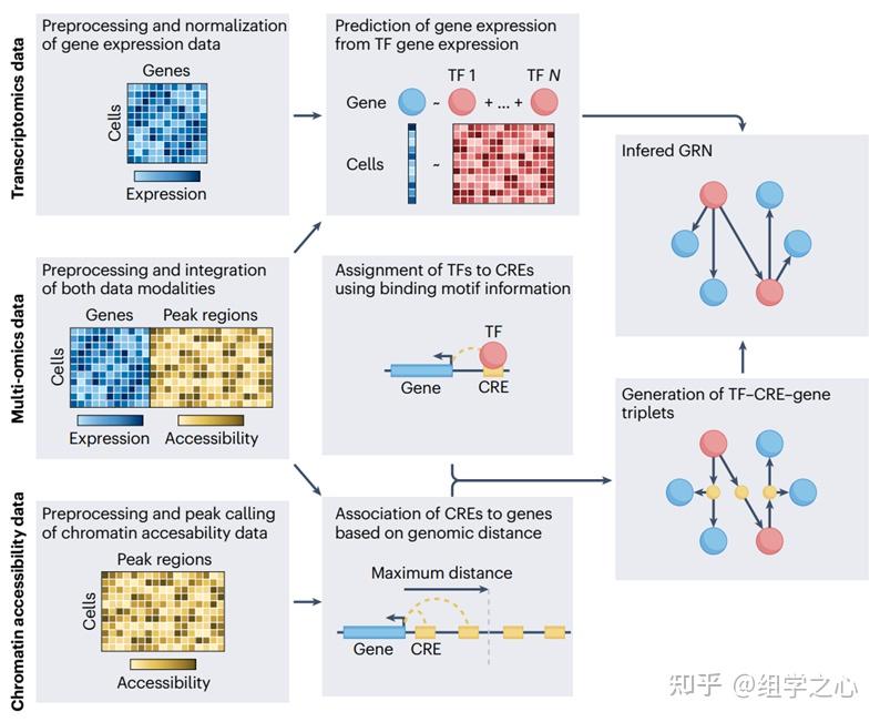 nature reviews genetics | 基因调控网络方法总结 - 知乎