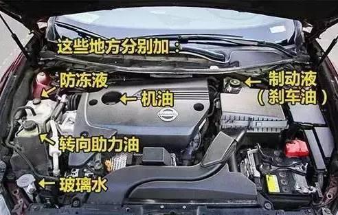 你知道买二手车后要换的5油3水是那些吗