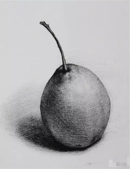 静物素描水果篇:梨的画法 