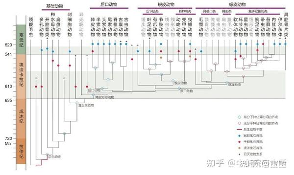 生物进化树整理 - 知乎