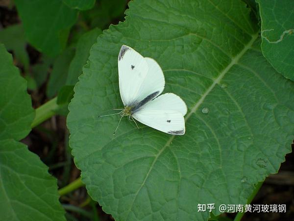 伤心时发的文案短句(那些伤心无助的文案短句)