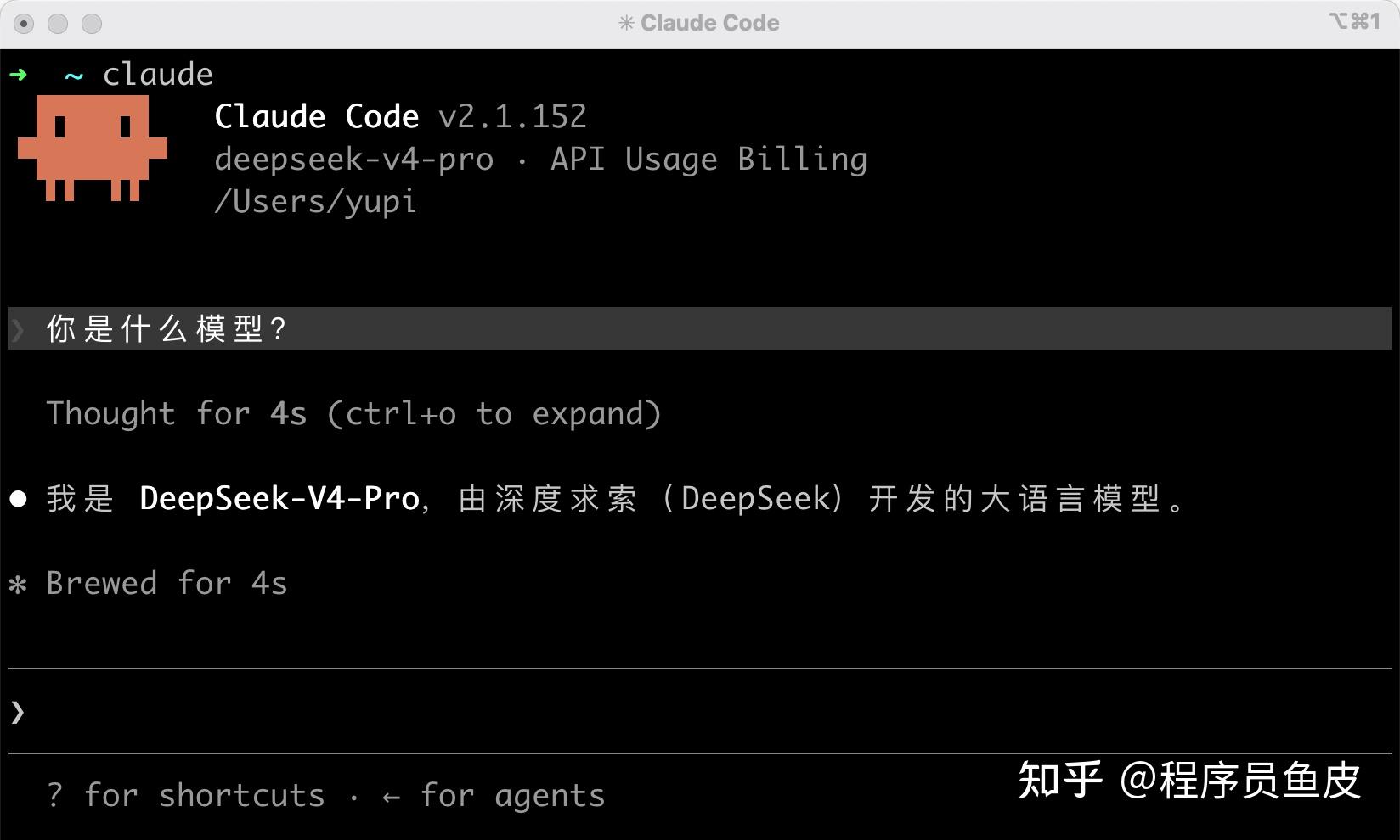 2 分钟，教你国内爽用 Claude Code + Codex！保姆级教程 - 知乎