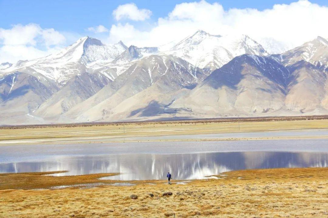 图 | 森格藏布河,为称狮泉河