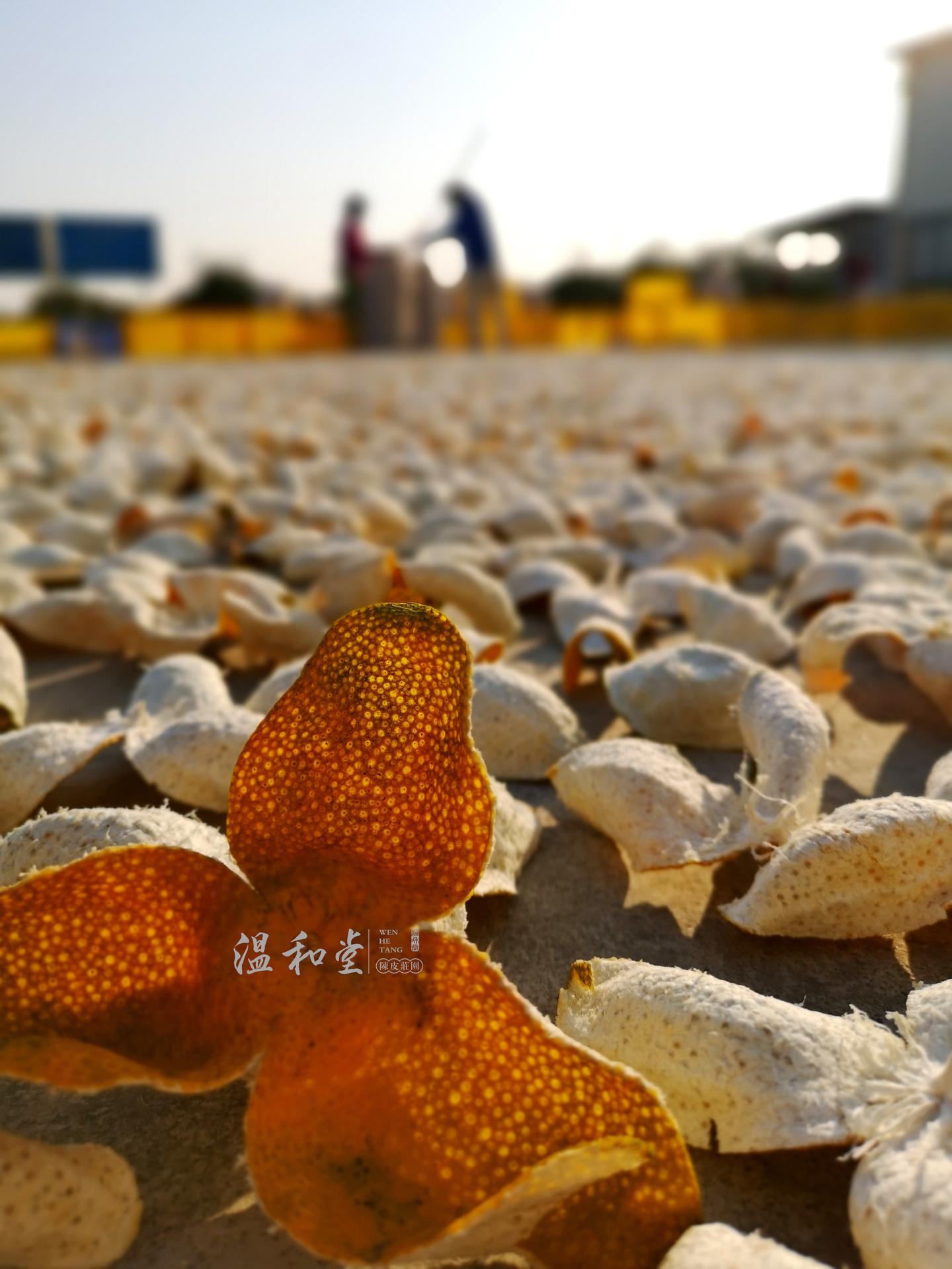 v2-8e83c6776e82ed170aa1ef505bef8432_1440w.jpg?source=172ae18b