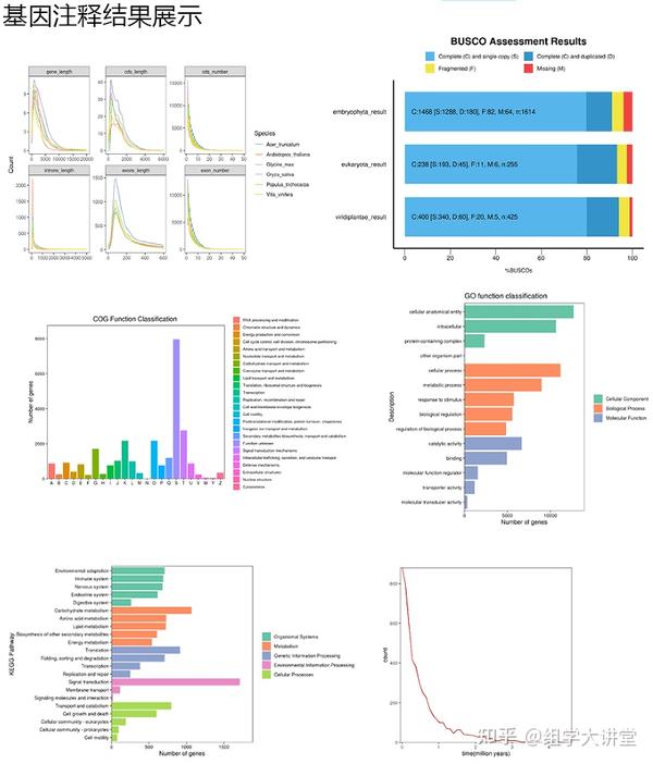 完整版基因组自主分析课程上新-《动植物基因组组装与注释分析实操》 - 知乎