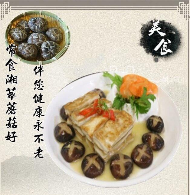 湖南茶花菇 关爱 三高 人群 知乎