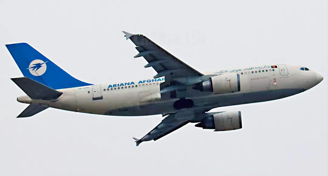 全球还有几家公司在运营a310? - 知乎