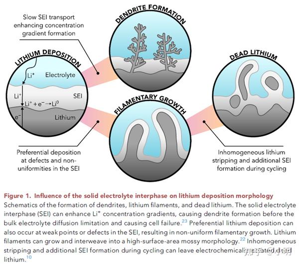 文献分享：Solid Electrolyte Interphases In Lithium Metal Batteries - 知乎