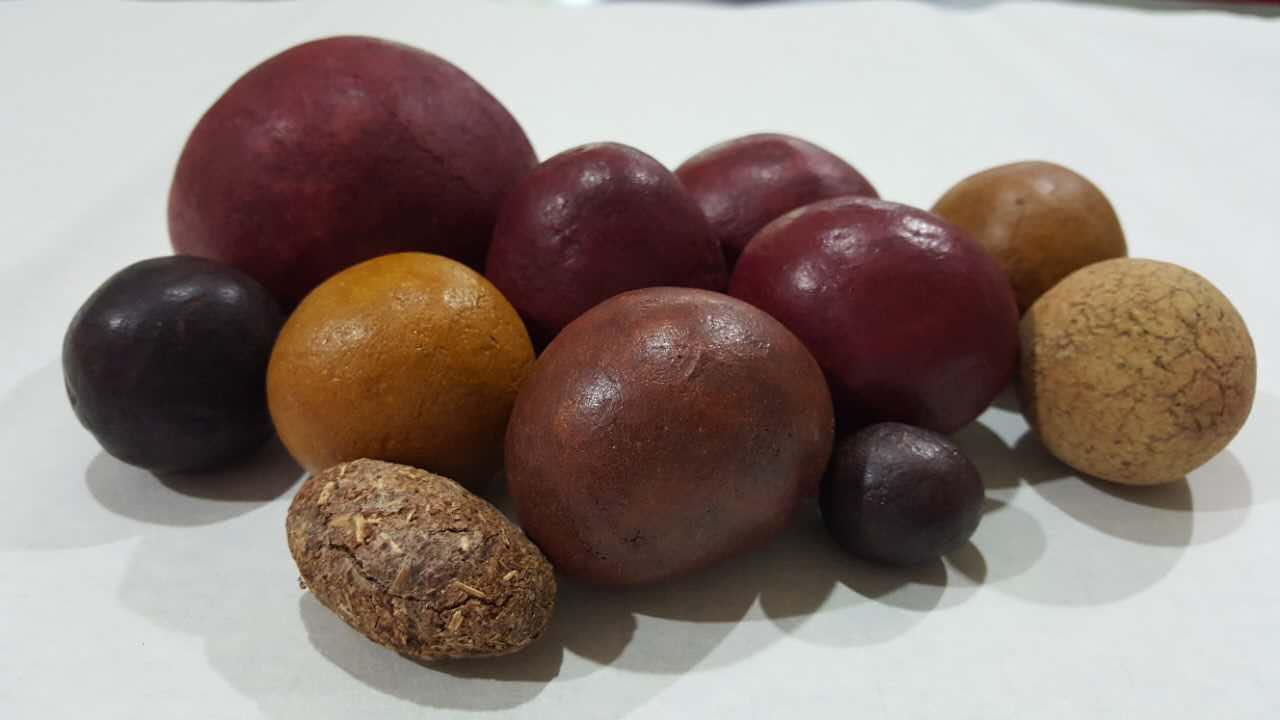 豪猪枣药效 - 知乎