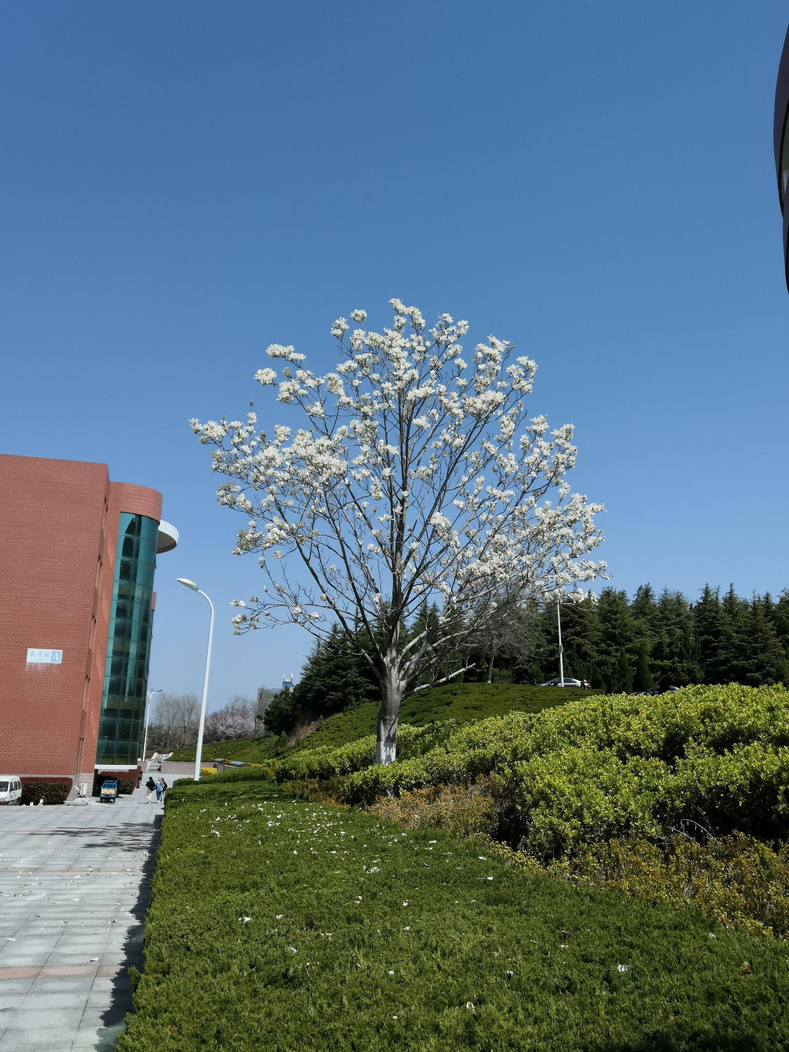 你认为哈尔滨理工大学荣成校区是一所什么样的学校