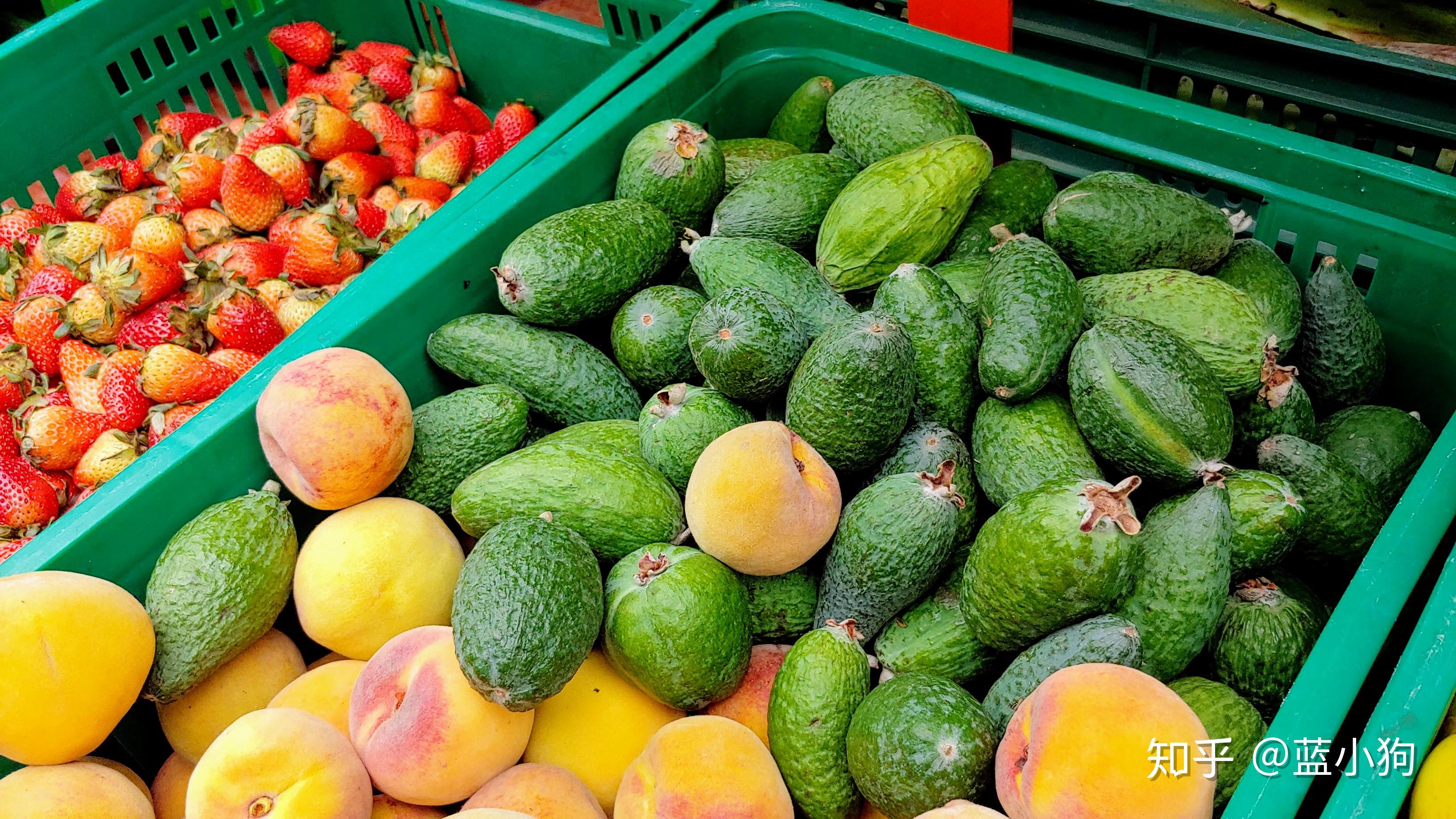 千奇百怪的南美水果2