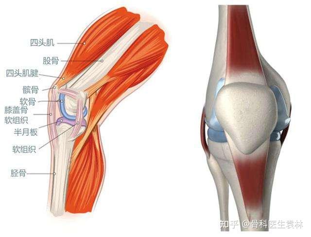 半月板損傷腿是不是就廢了膝蓋半月板損傷了還能治好嗎
