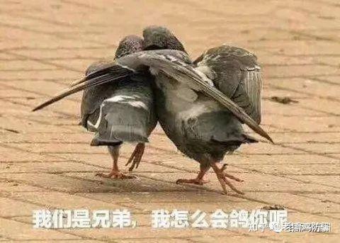 外汇与资金盘的区别_外盘和外汇有什么区别_外汇和资金盘的区别