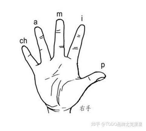 尤克里里基础科普篇：右手分解节奏型 - 知乎