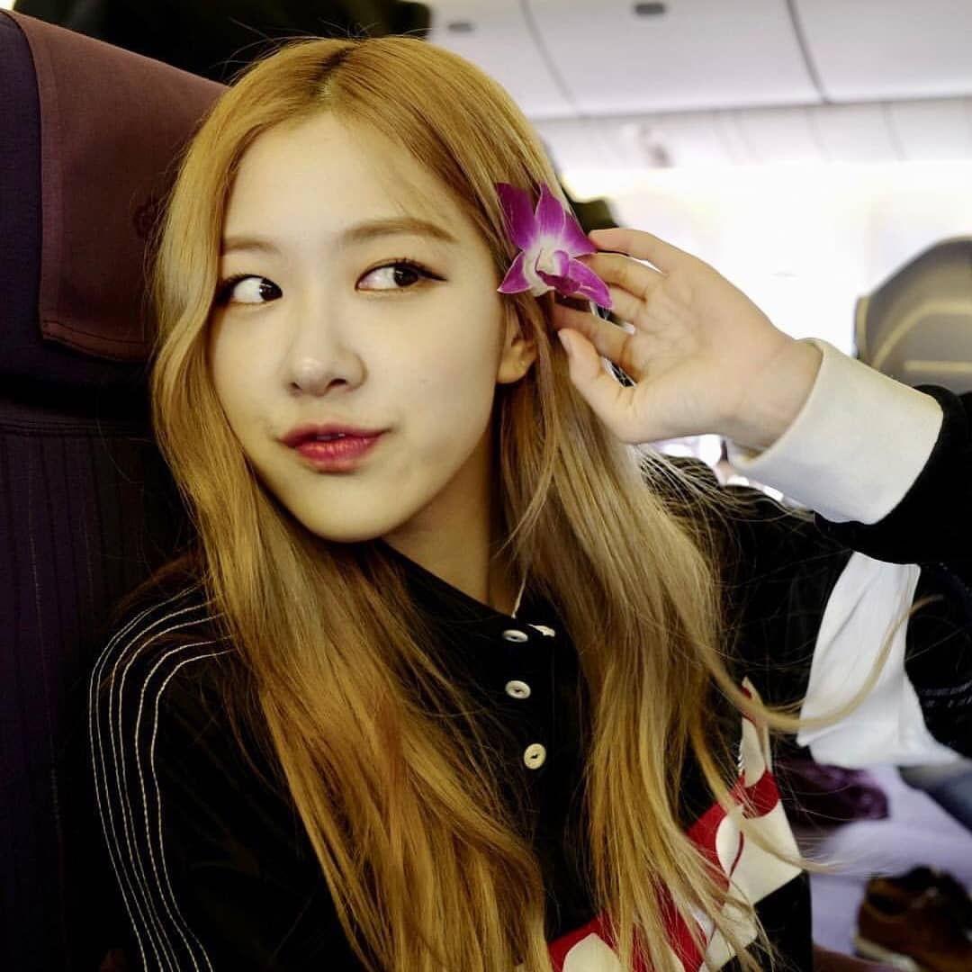 朴彩英头像|金发碧眼朴彩英79ros07 - 知乎