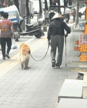 动图封面