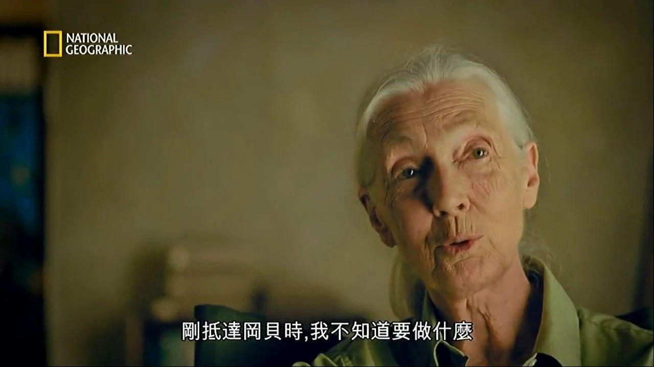 《珍·古道尔的传奇一生》:她一定生活的热爱且满足 - 知乎