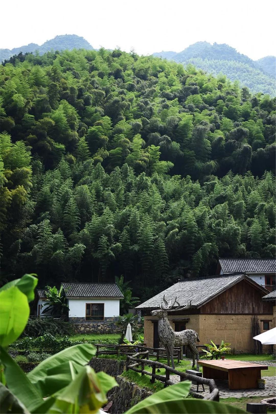 探寻桐庐莪山乡你所向往的隐世生活