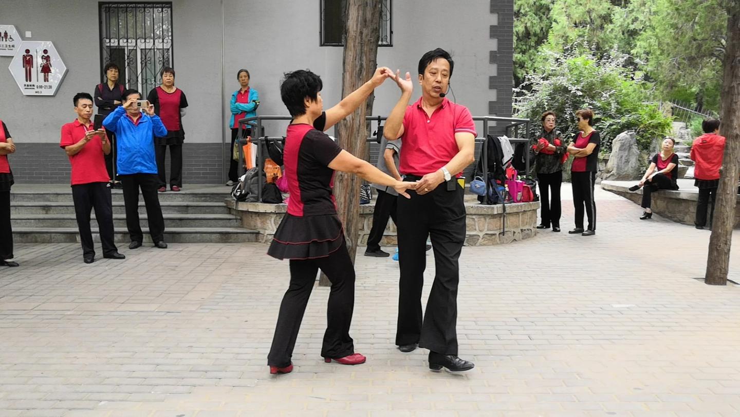 徐舞飞扬双人交谊舞北京平四第三套第二节分解教学