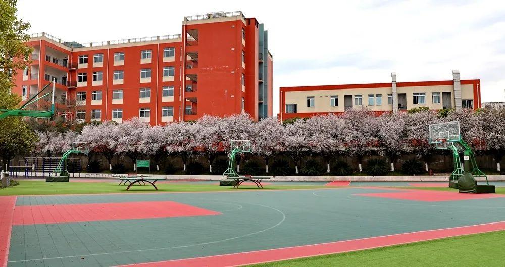 龙泉中学校寄给你↓↓↓今天,我特意把你想要的校园春天我们都无法与